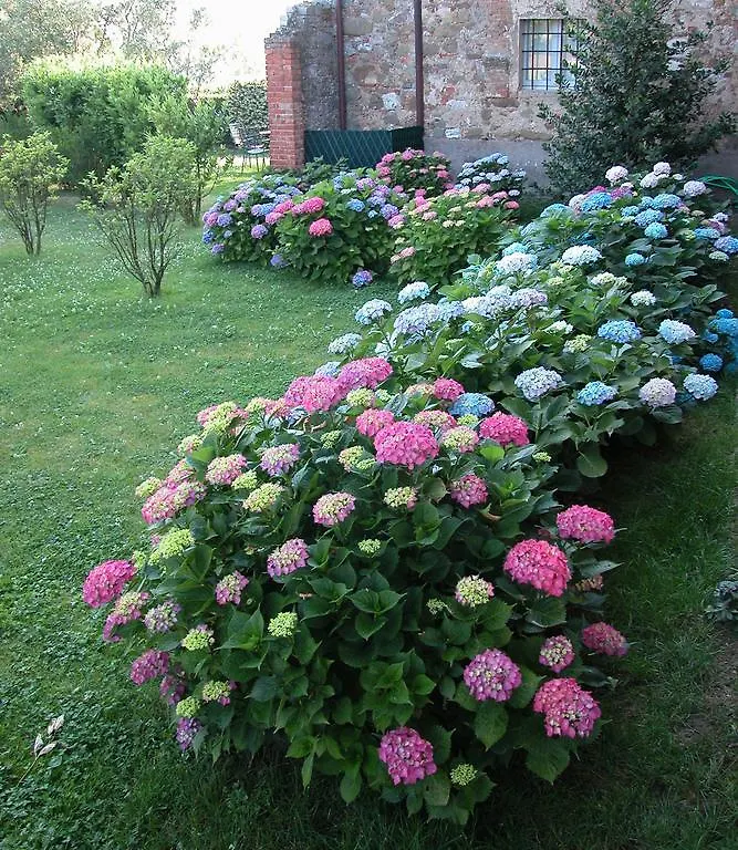 Locanda Dell'Amorosa Sinalunga